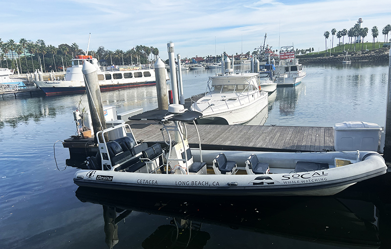 Pro2 white top in Long Beach Harbor